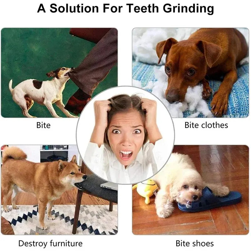 Balle Distributrice de Friandises – Chien et Chat, Résistante aux Morsures