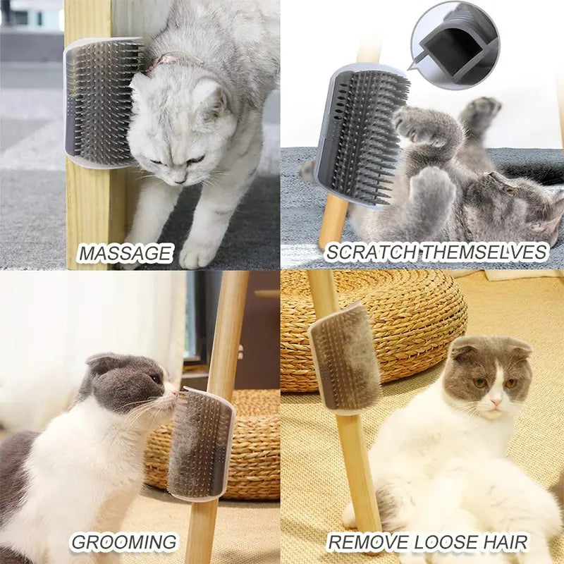 Brosse de Massage Chat – Grattoir Amovible