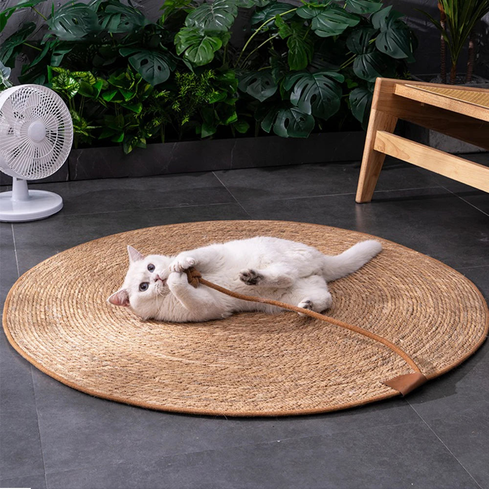 Tapis Griffoir en Rotin Chat – Entretien des Griffes