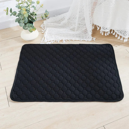 Alèse Chien Lavable – Apprentissage Propreté et Protection Auto