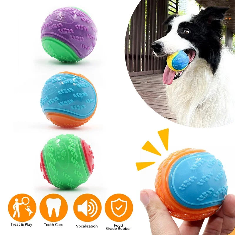 Jouet Chien TPR – Nettoyage des Dents et Résistant aux Morsures