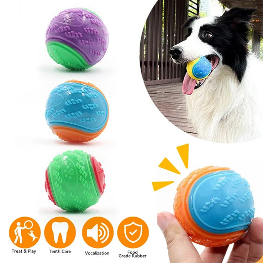 Jouet Chien TPR – Nettoyage des Dents et Résistant aux Morsures