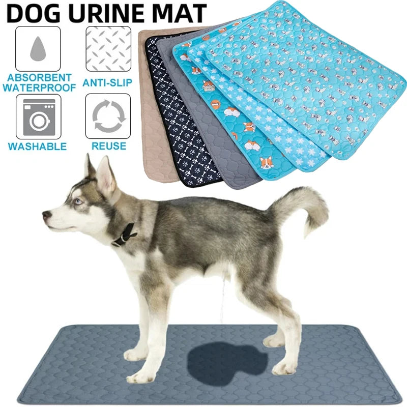 Alèse Chien Lavable – Apprentissage Propreté et Protection Auto