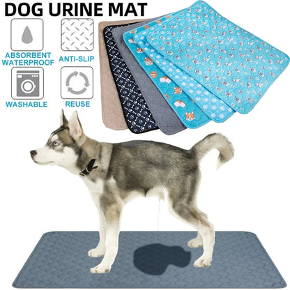 Alèse Chien Lavable – Apprentissage Propreté et Protection Auto