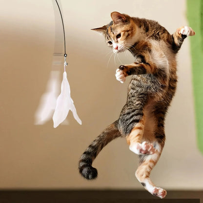 canne à pêche pour chat