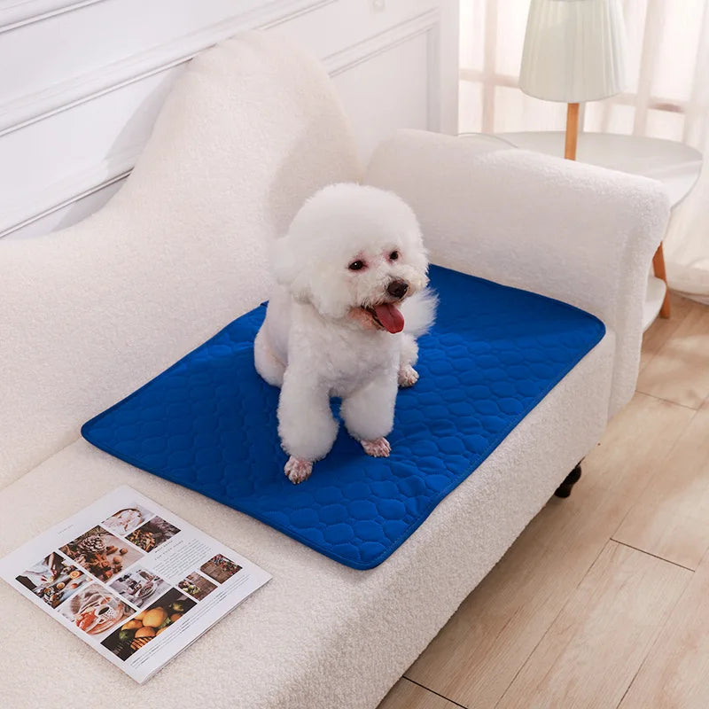 Alèse Chien Lavable – Apprentissage Propreté et Protection Auto