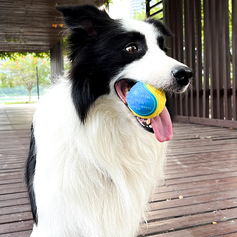 Jouet Chien TPR – Nettoyage des Dents et Résistant aux Morsures