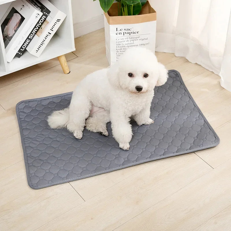 Alèse Chien Lavable – Apprentissage Propreté et Protection Auto