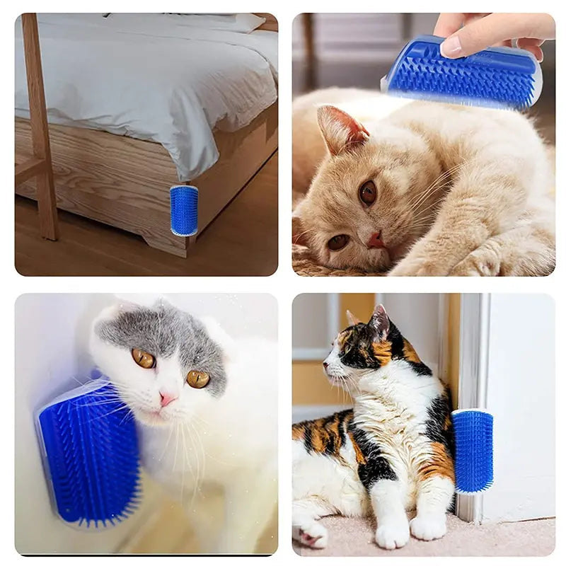 Brosse de Massage Chat – Grattoir Amovible