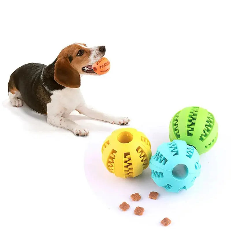 Balle Distributrice de Friandises – Chien et Chat, Résistante aux Morsures