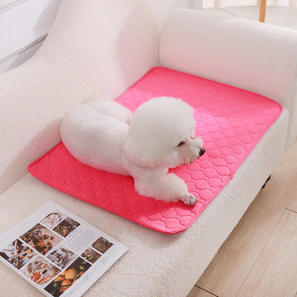 Alèse Chien Lavable – Apprentissage Propreté et Protection Auto