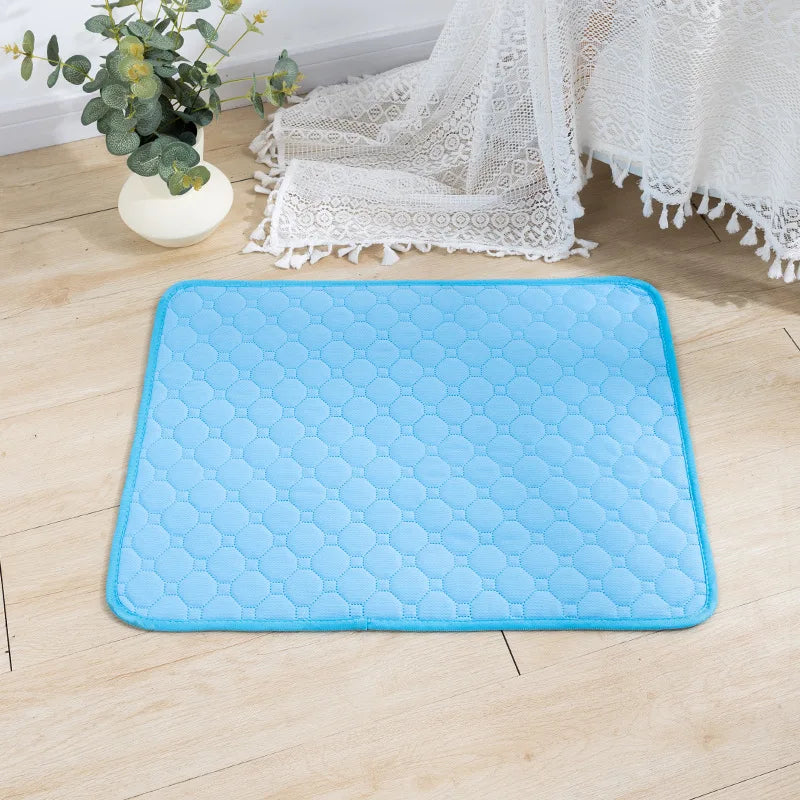 Alèse Chien Lavable – Apprentissage Propreté et Protection Auto