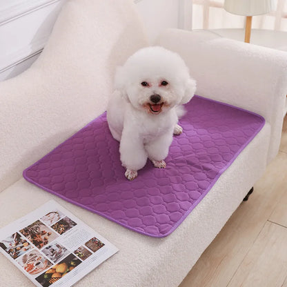 Alèse Chien Lavable – Apprentissage Propreté et Protection Auto